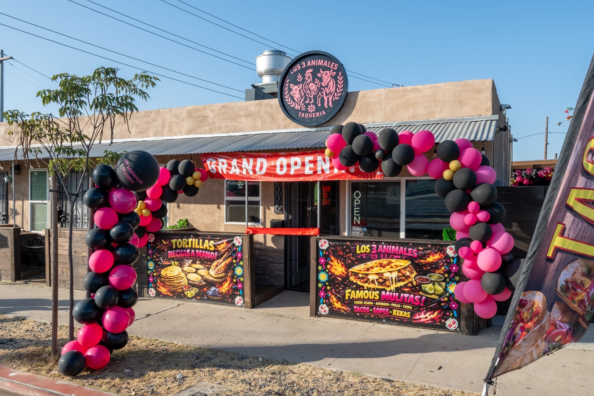 Balloon arch and feather flag at the entrance
